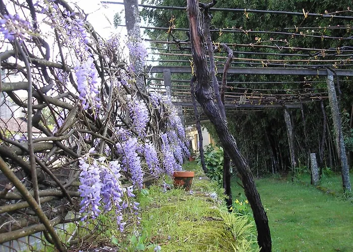 Hotel Balneario Davila