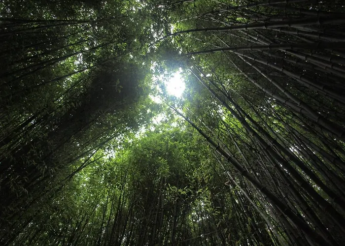 Hotel Balneario Davila 2*